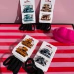 SET DE 2 BROCHES Y 5 GOMITAS PARA CABELLO